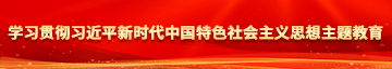 亚洲美女毛多水多免费视频看看学习贯彻习近平新时代中国特色社会主义思想主题教育